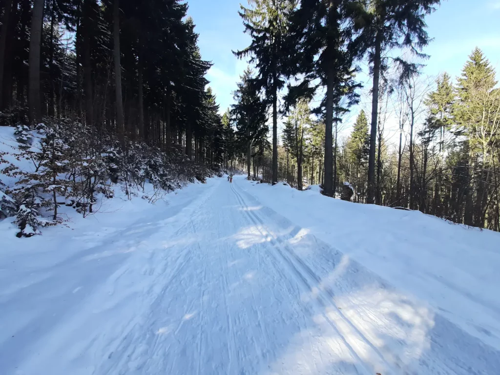 Trasy biegowe w Górach Sowich